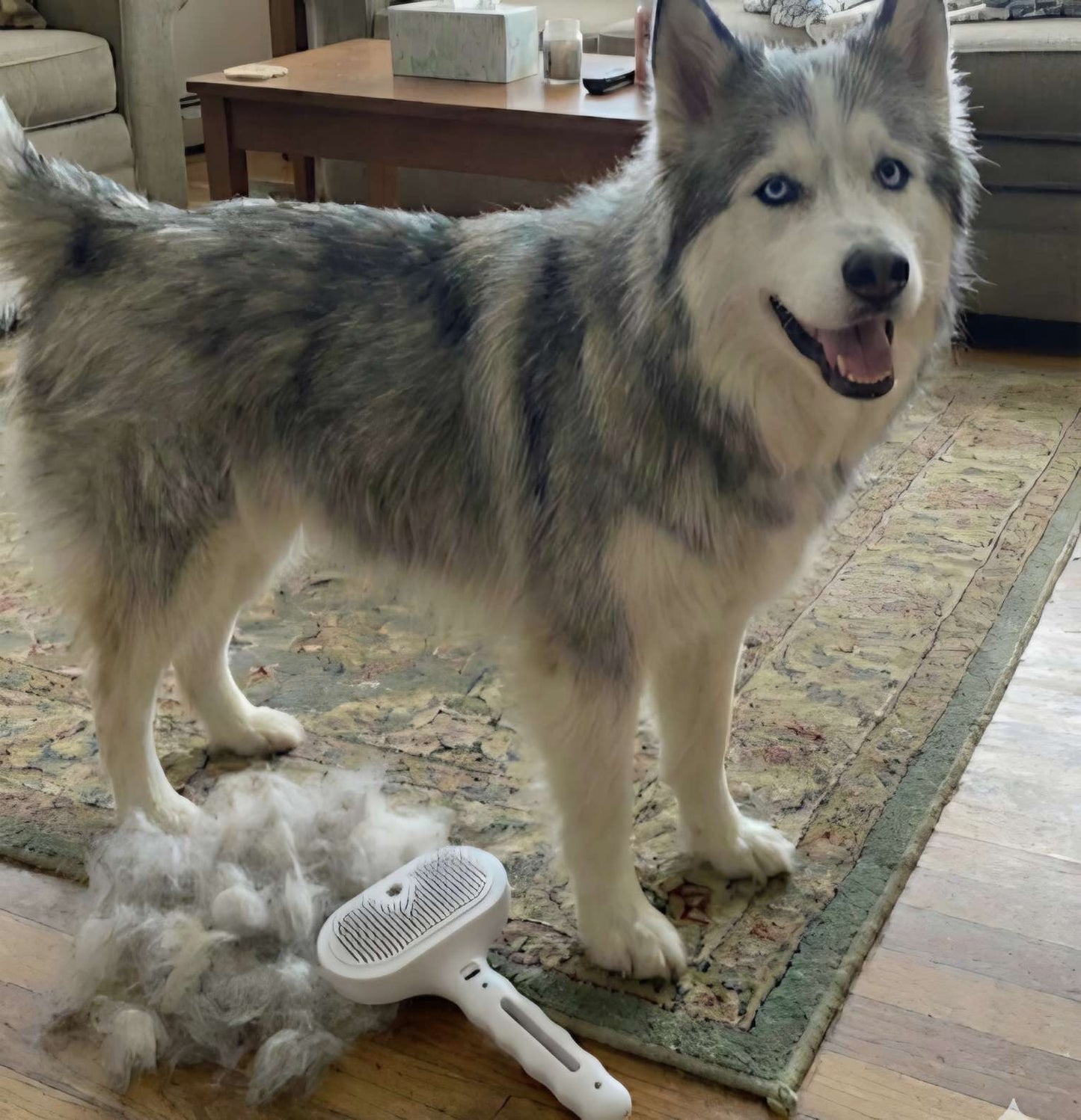 Alinea Mist Brush