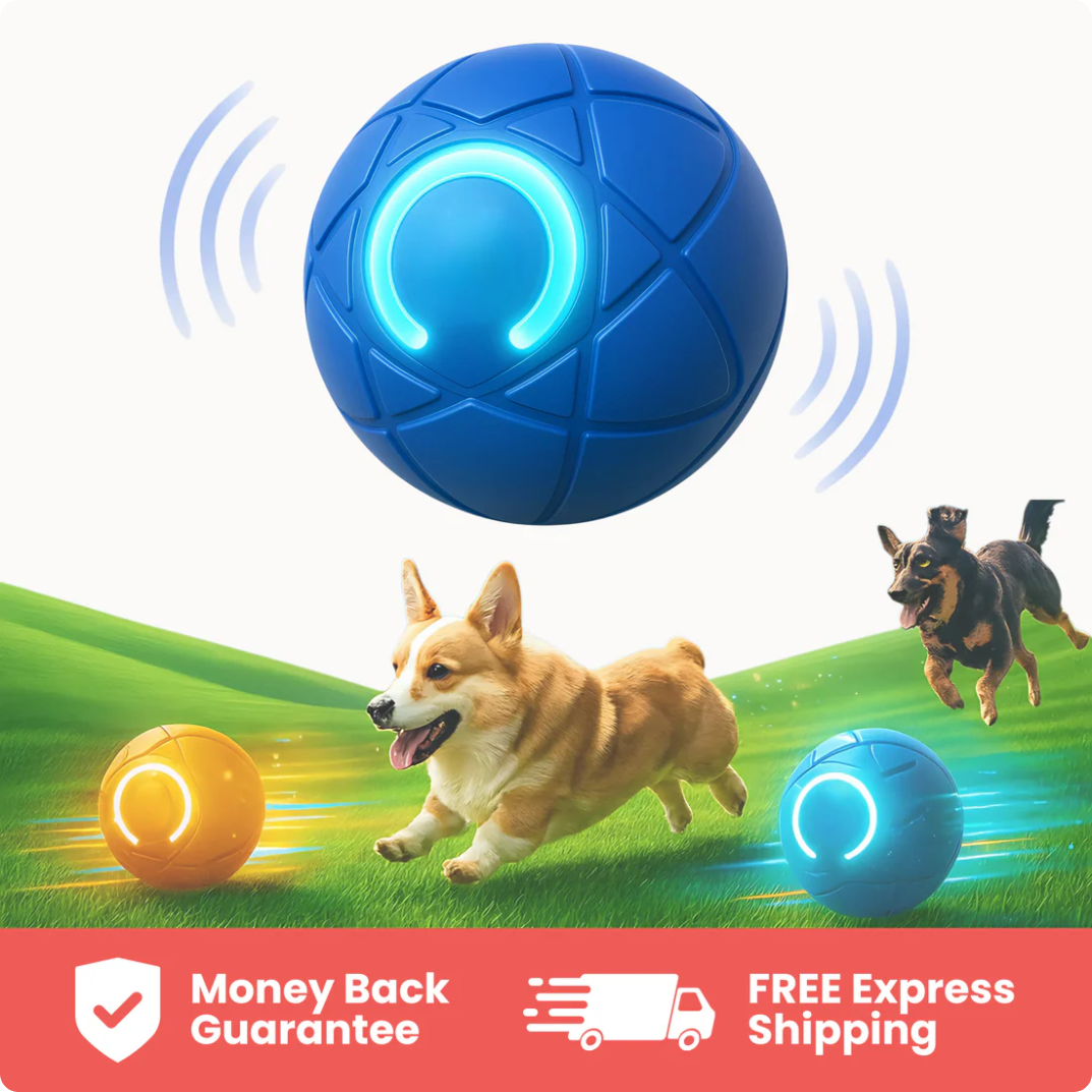 The Chase Buddy – Keep Your Dog Calm, Engaged & Satisfied (Even When You’re Busy)