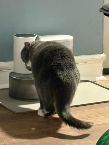 Alinea™ The Filterless Self-Refill Fountain