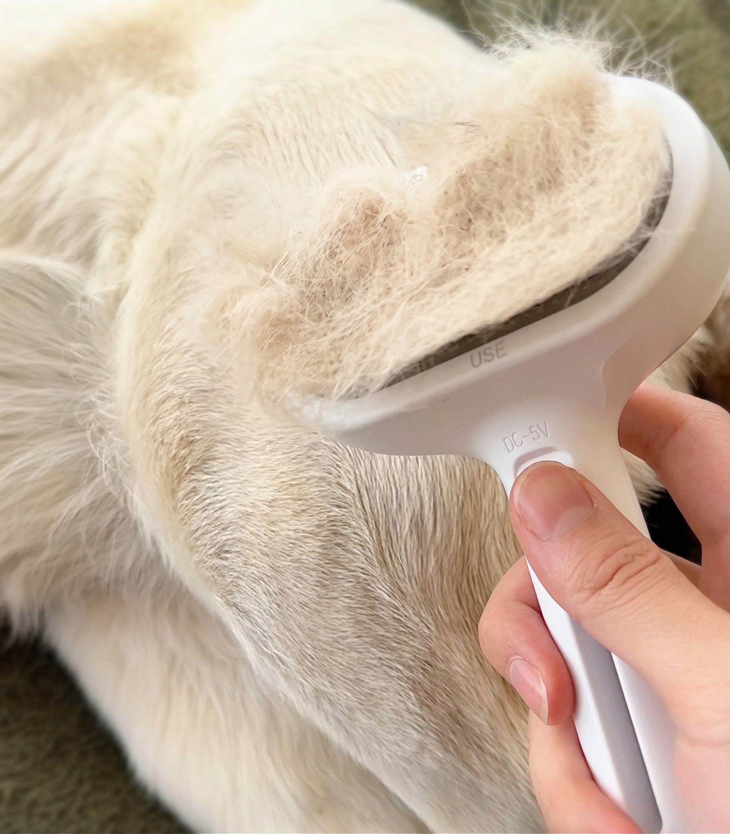 Alinea Mist Brush