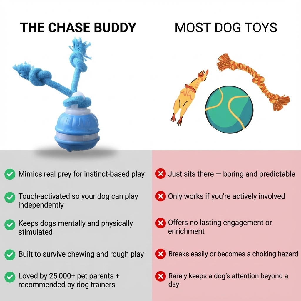 The Chase Buddy – Keep Your Dog Calm, Engaged & Satisfied (Even When You’re Busy)